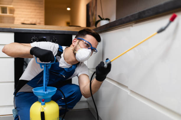 Best Pest Control Treatment  in Golden Triangle, NJ
