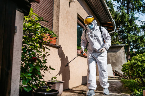 Best Spider Control Near Me  in Golden Triangle, NJ