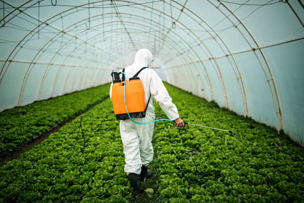 Best Affordable Pest Control Services  in Golden Triangle, NJ