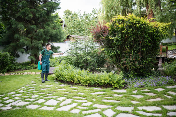 Wasp Removal Services in Golden Triangle, NJ