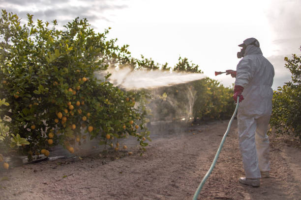 Best Wasp Removal Services  in Golden Triangle, NJ