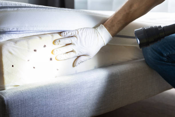 Best Best Pest Control Companies  in Golden Triangle, NJ