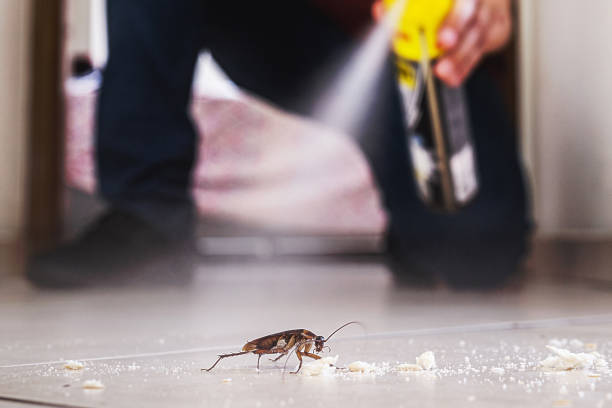 Best Exterminator Services  in Golden Triangle, NJ