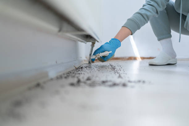 Best Bed Bug Extermination  in Golden Triangle, NJ